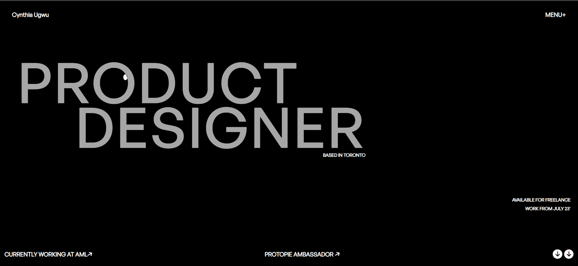 portfolio clone